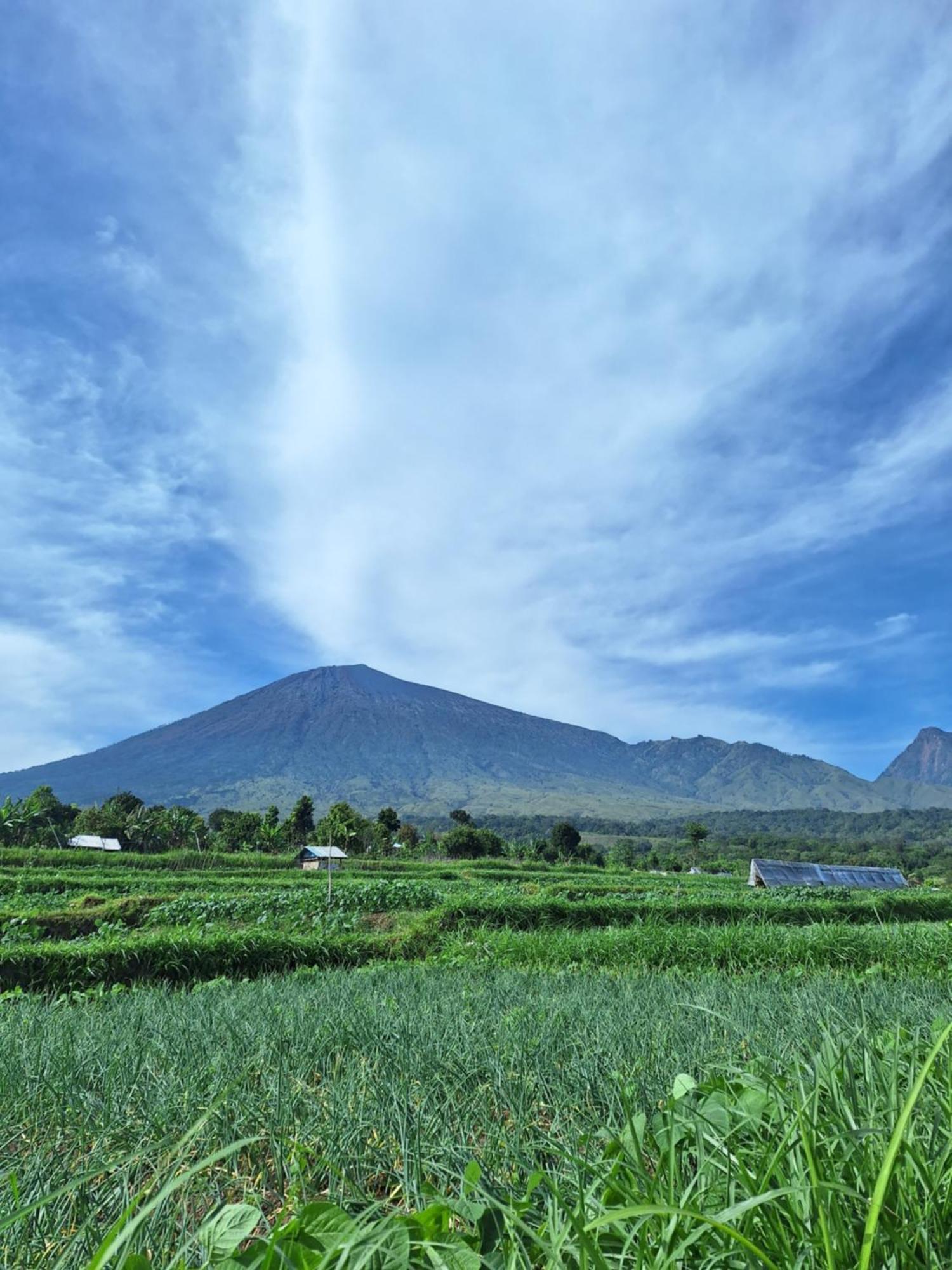 Family Rinjani Bungalow Sajang Екстериор снимка